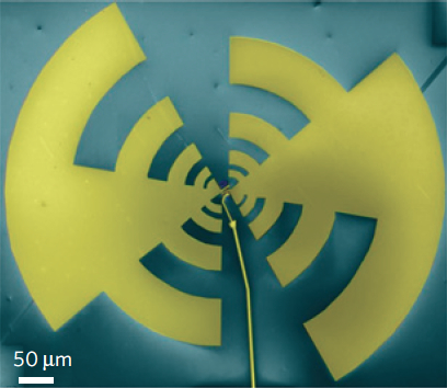 Sensore terahertz basato su grafene